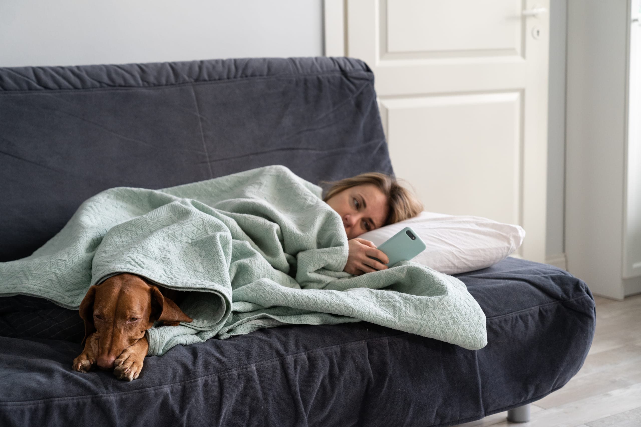 A woman resting on a sofa under a blanket with her dog, looking at her phone.